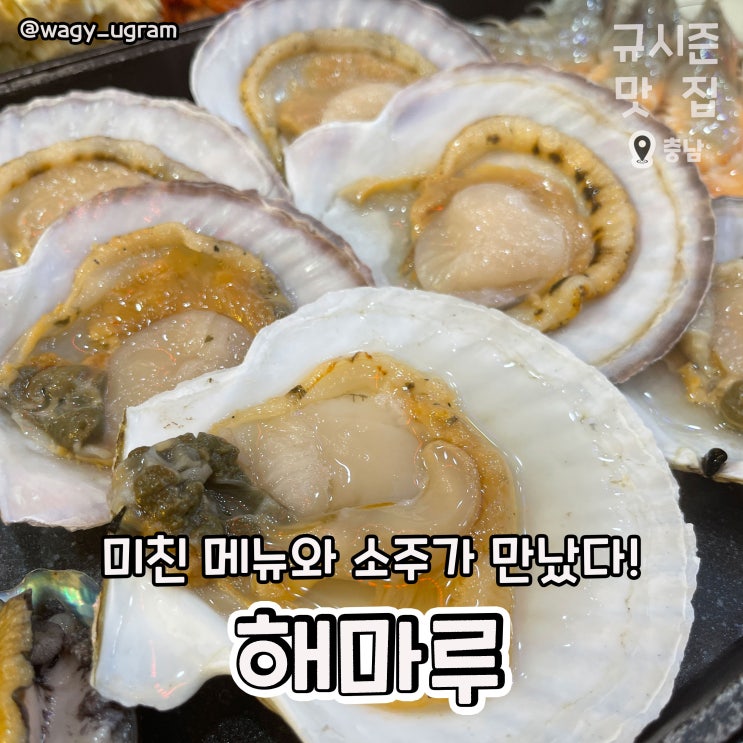  보령 조개구이 회 맛집 해마루 리뷰
