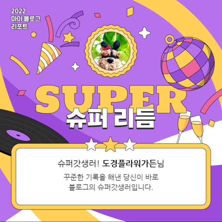  [2022 마이 블로그 리포트] 올해 활동 데이터로 알아보는 2022 나의 블로그 리듬