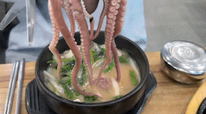  경기도 네임드 순대국 안산 봉궁순대국