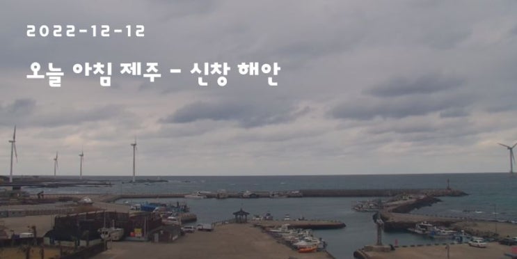  하루명언 - 더 이상 의심할 것이 없을 때까지 의심하라, 의심은...