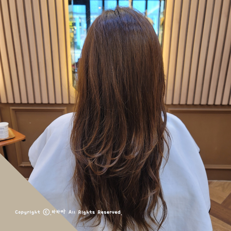  일산 라페스타 미용실 비아프헤어 하오니코 풀케어 헤어클리닉
