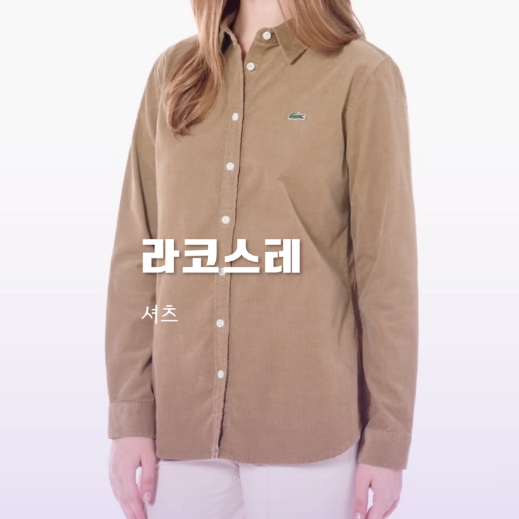 라코스테 셔츠 여성 남성 3가지 정보 라코스테 셔츠 여성 남성 3가지 정보