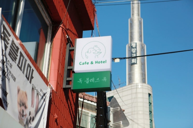 사진 3