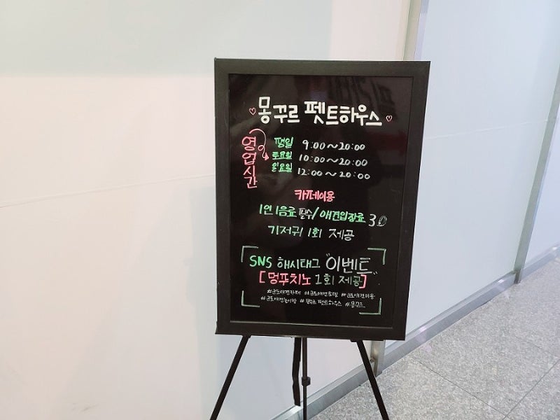 사진 3