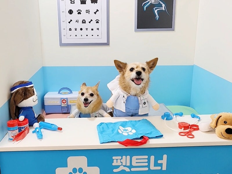 사진 7