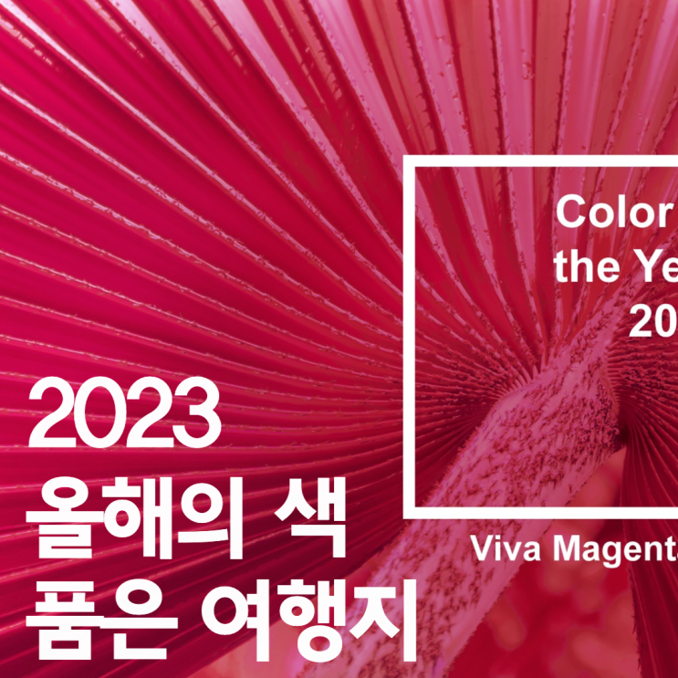  2023 올해의 컬러 '비바 마젠타 viva magenta'를 품은 여행지 5