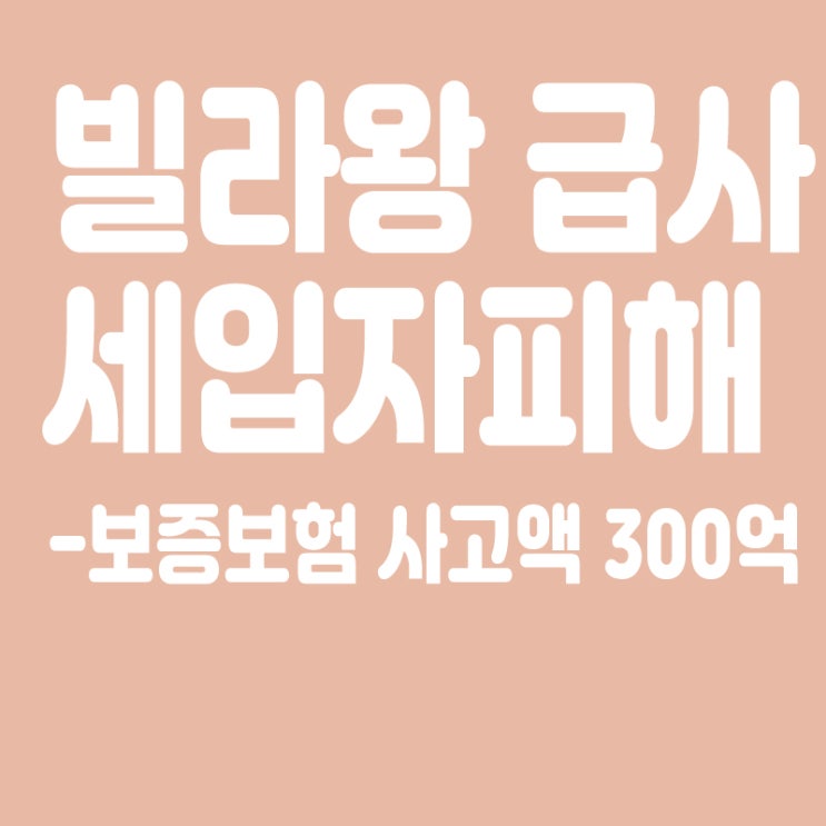  1139가구 '빌라왕 급사' 쇼크…보증보험 사고액 이미 300억