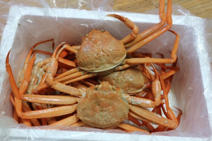  [장인수산] 가성비 연지홍게 장인수산에서 4번째 재주문 중