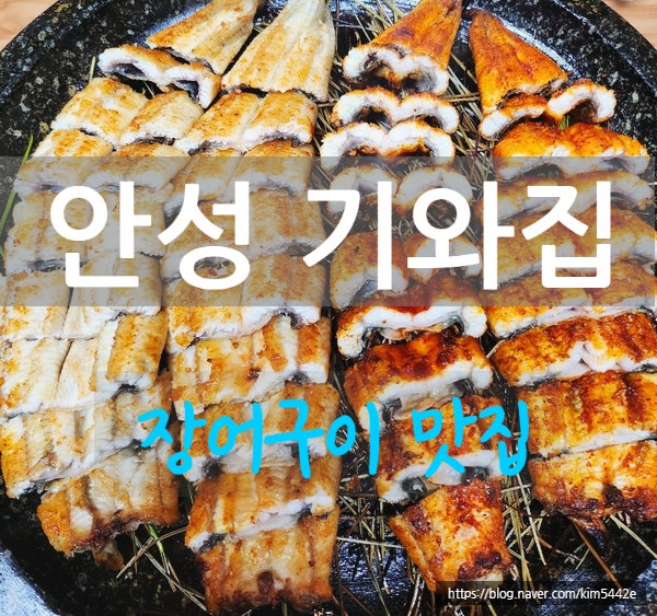  [안성맛집] 금광호수 뷰가 이쁜 '기와집' 장어구이 맛집 특별한 날 방문 추천 맛집