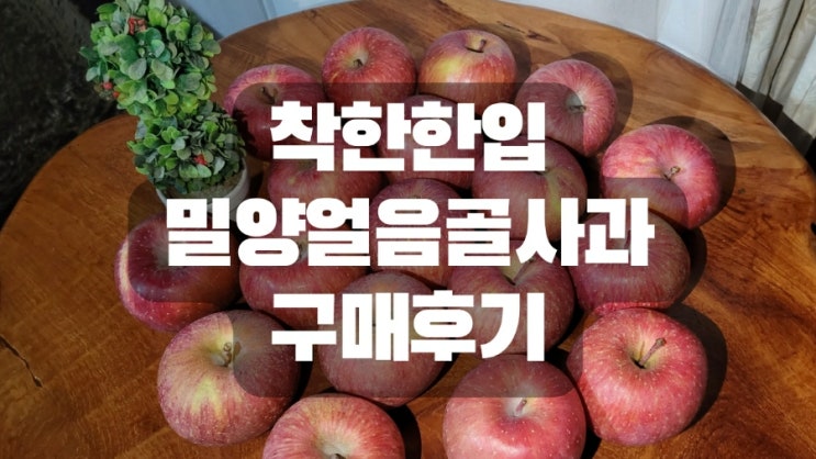  착한한입 밀양얼음골사과 구매후기