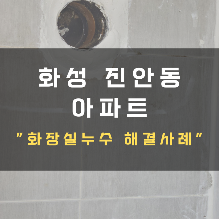  화성 진안동 아파트 화장실누수 (안방벽까지 곰팡이가..)