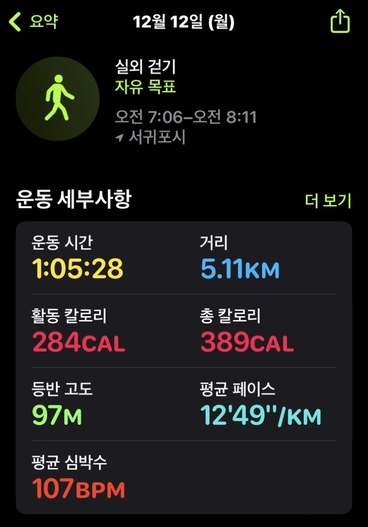  53일차, 감귤 자랑