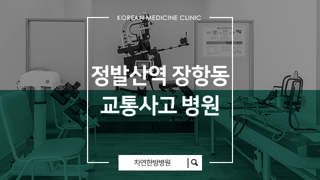  정발산역 장항동 교통사고 병원