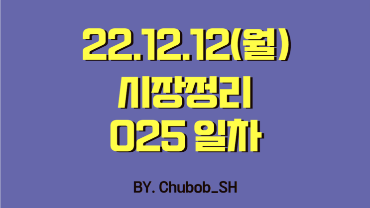  22.12.12(월) 시장정리 025일차