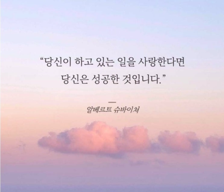  부거사이 [부동산 뉴스와 블로그] 12월 12일(월)