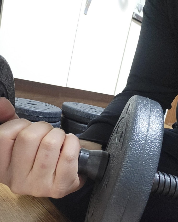  무게조절 덤벨, 홈짐 20kg 세트 네마치 간편 사용기