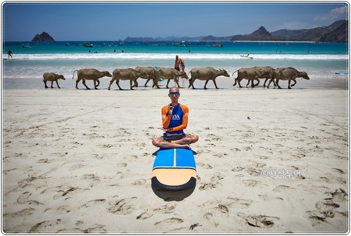  롬복 서핑투어