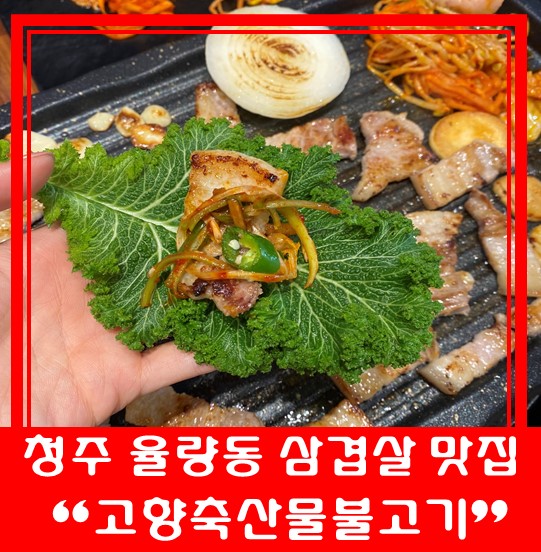  [청주 율량동 맛집] "고향축산물불고기 율량점" 푸짐한 쌈 채소 삼겹살 맛집!!!