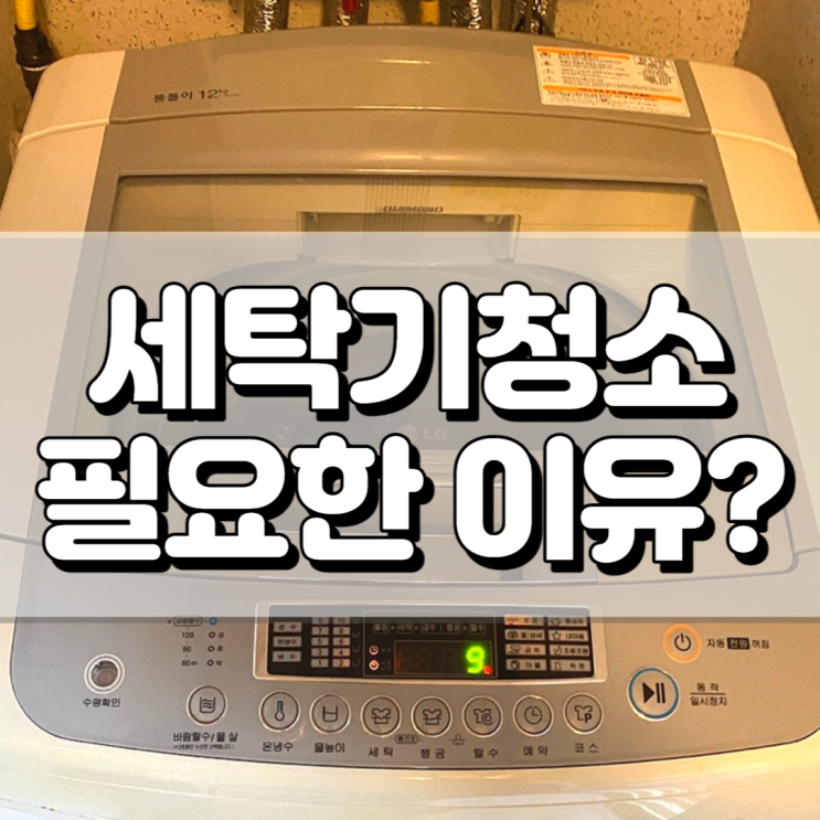  울산 세탁기 분해청소 업체 래핑홈케어 믿고 맡겨요