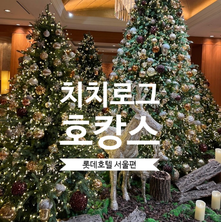  5성급 롯데호텔서울 호캉스 후기(슈페리어 트윈, 라세느 조식정보, 부대시설-수영장,피트니스센터 정보)
