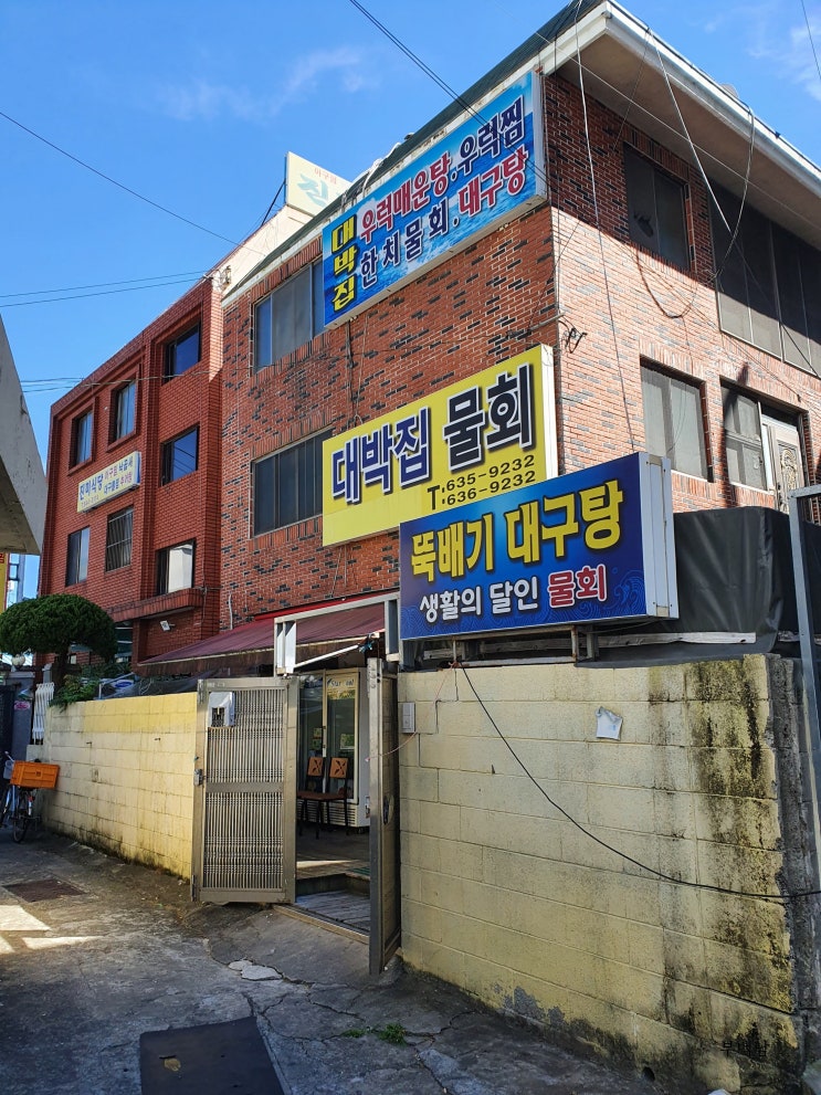  부산 문현동 동치미육수의 진수 대박집물회