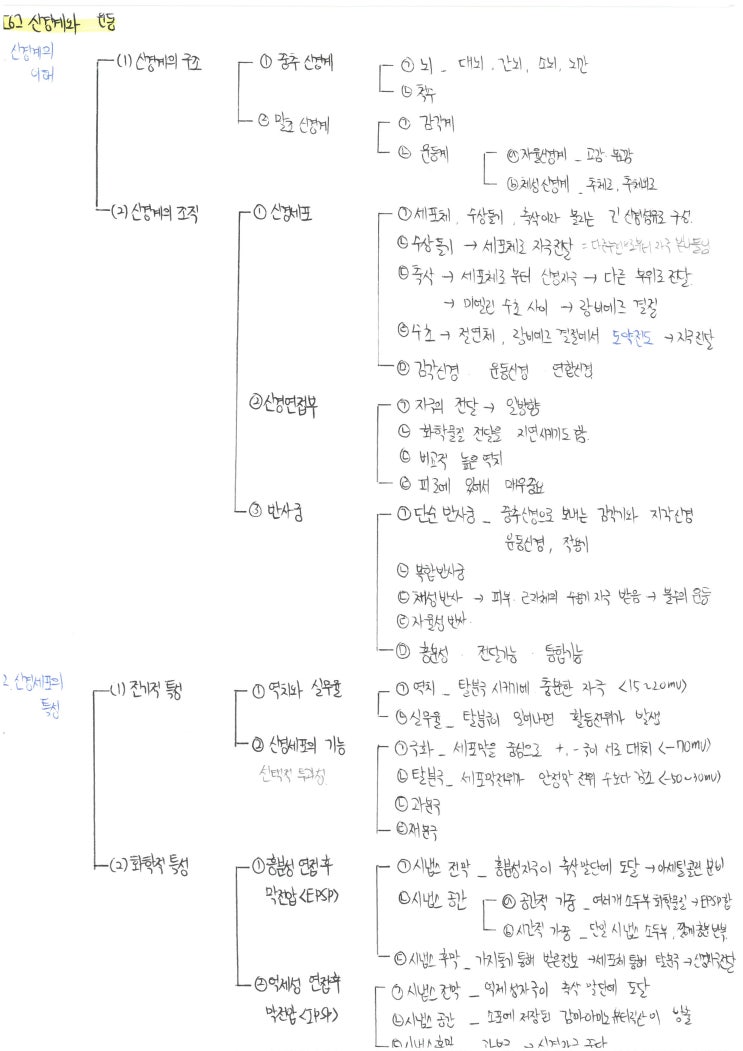  임용 체육, 운동생리학 신경계와 운동