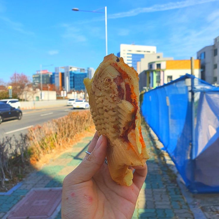  요새 짱 핫해여!! 줄서서 먹는 붕어빵!! 치즈가 한가득 들어있는 '광주 충장로 <꾸꾸붕어빵>'