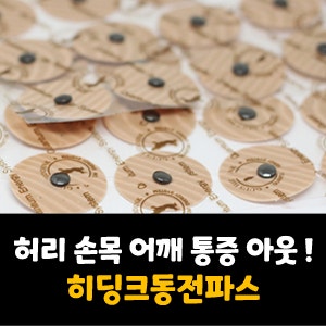 히딩크동전파스로 허리 손목 통증 아웃 !