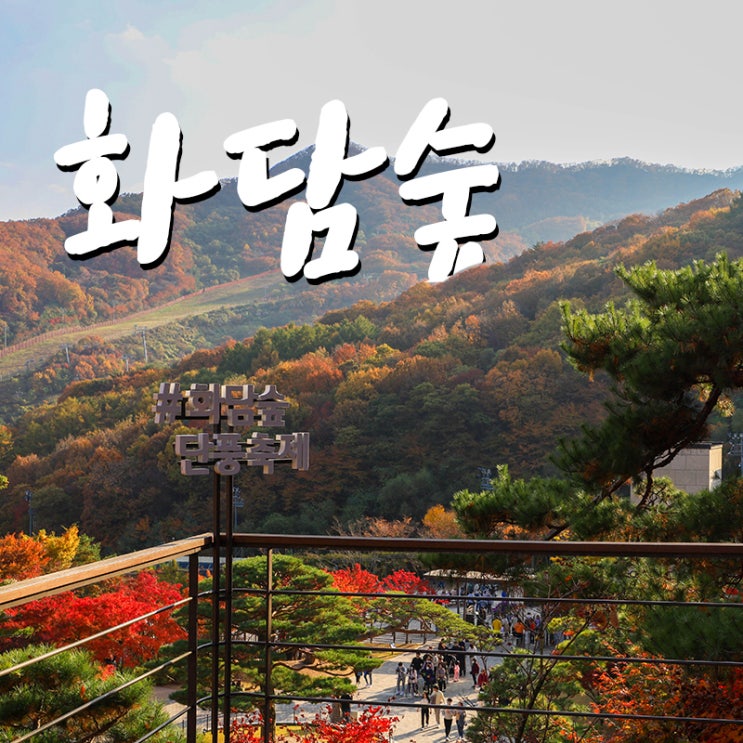  22.10.29 화담숲 방문기
