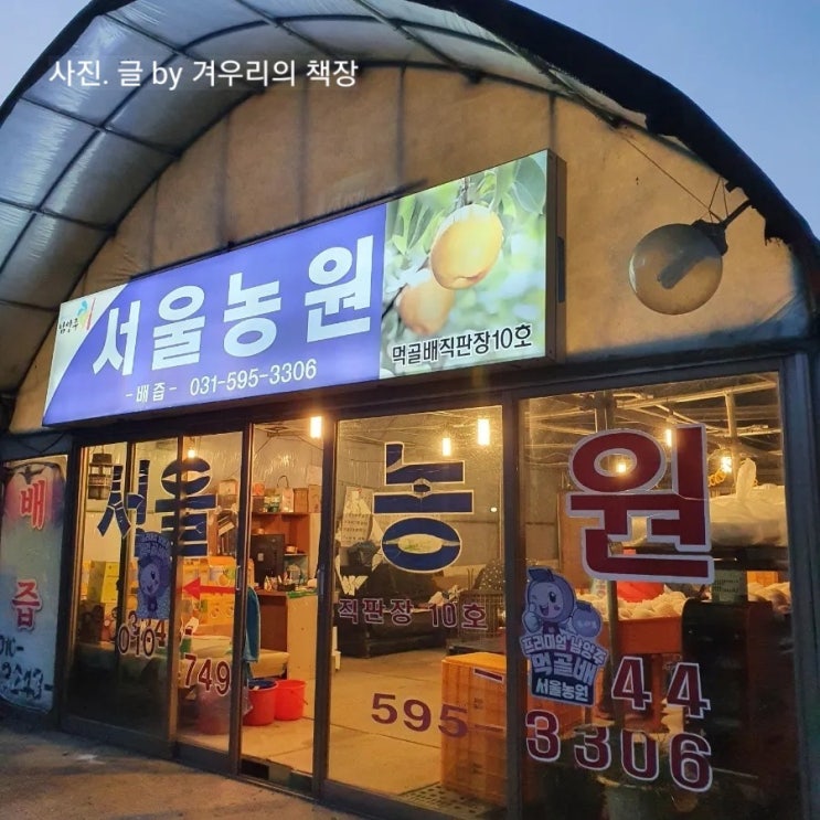  남양주 먹골배 직판장 [서울 농원]. 내 돈 내산 재방문기
