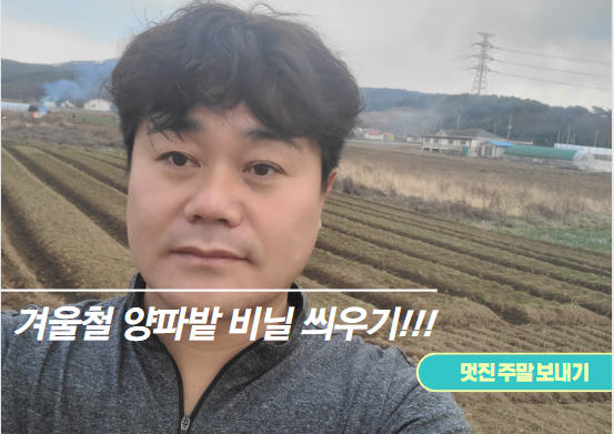 이번 주말에는 고향에 내려가서 어떤일을 했을까요?