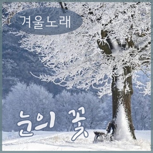 눈의 꽃(박효신) 악보,가사,원곡, 일본어 가사 해석 한국어 발음, 나카시마미카