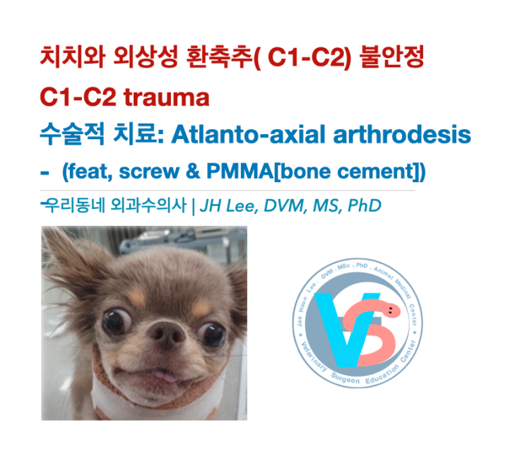  치와와 외상성 환축추( C1-C2) 불안정 Atlanto-axial instablity: 수술기법 screw & PMMA