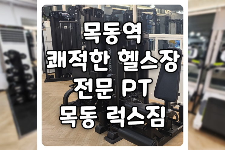 [서울/양천] 목동 헬스장 럭스짐에서 PT 받고 왔습니다