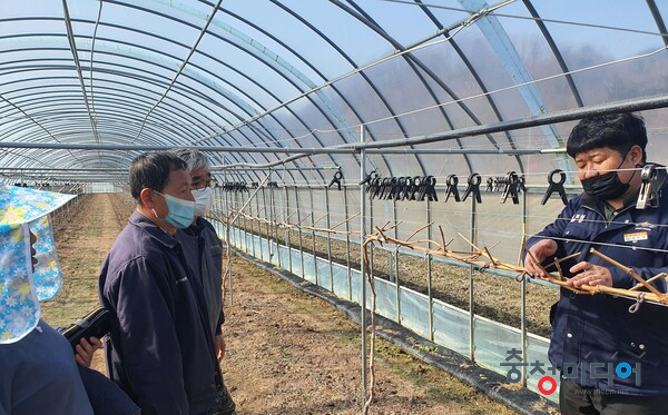  영동군농업기술센터, 농촌진흥사업 ‘우수기관’ 선정