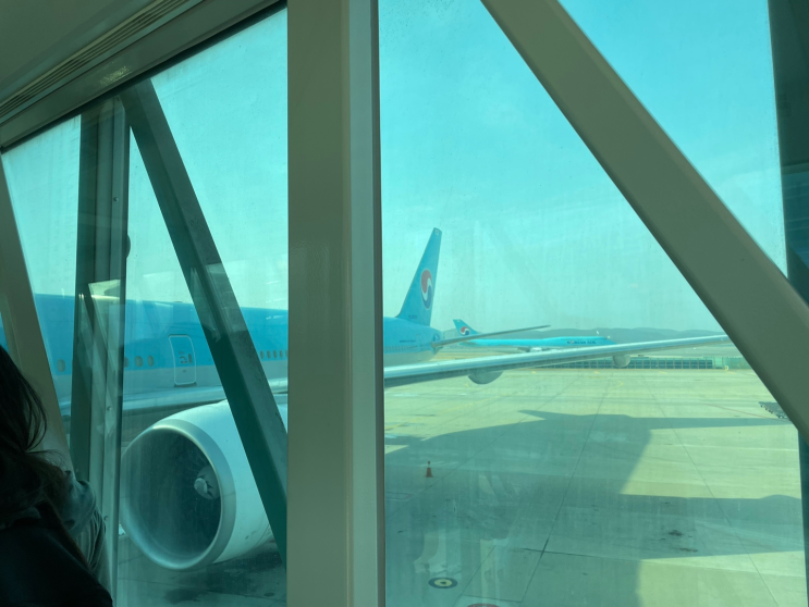  미국 NIW 영주권, 이민 비자 승인 후 미국 입국 후기 (시카고 오헤어 공항)
