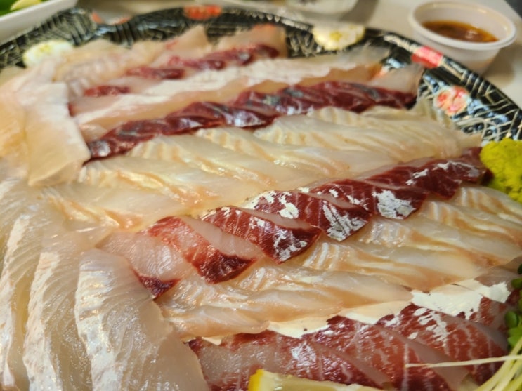  오빠야회 본점~ 겨울 제철 회 추천!