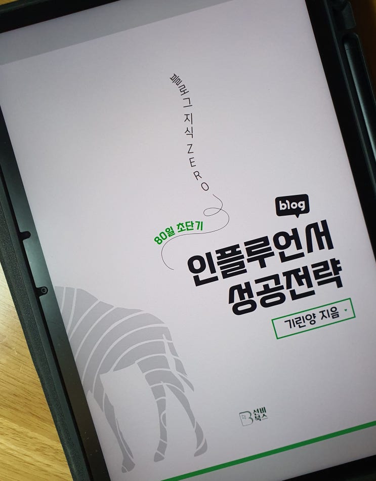  꼭 인플루언서가 돼야 할까? <80일 초단기 인플루언서 성공 전략>