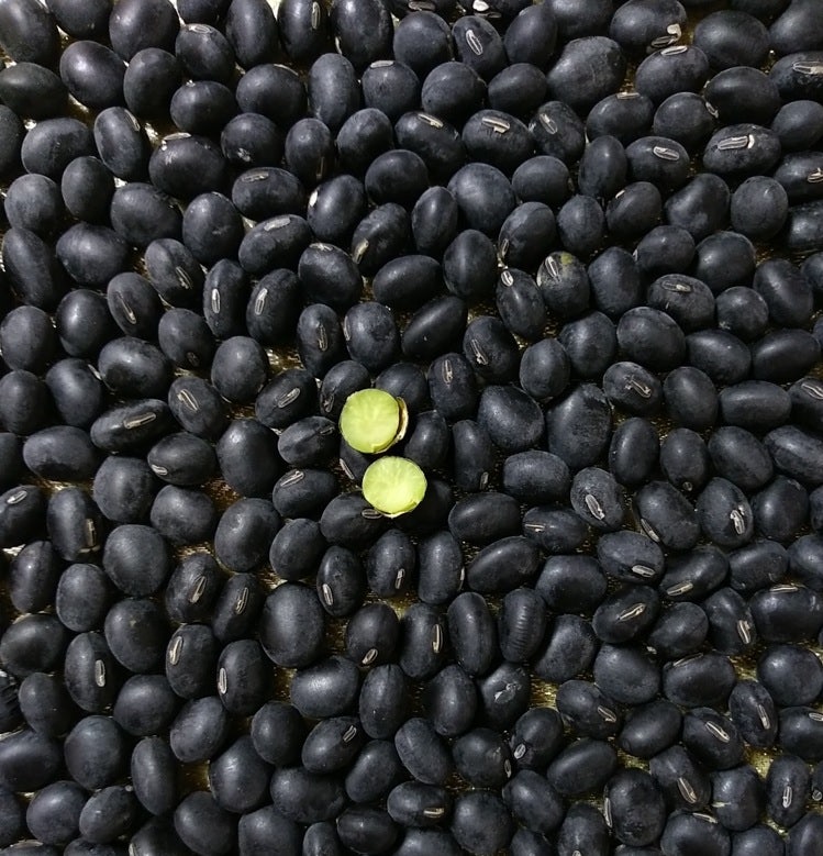 두유, 콩국수(백태 메주콩 삶는 법), 서리태밥, 비지김치찌개, 비지전 : 네이버 블로그 두유, 콩국수(백태 메주콩 삶는 법), 서리태밥, 비지김치찌개, 비지전 : 네이버 블로그