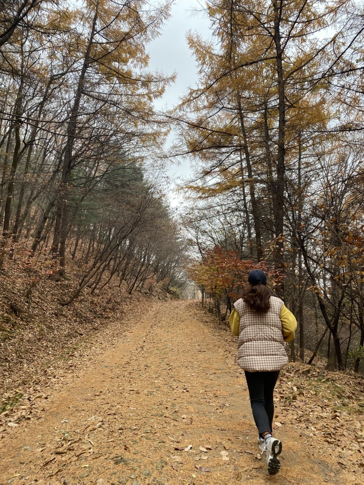  2022년 계획!! 11월 결산!!