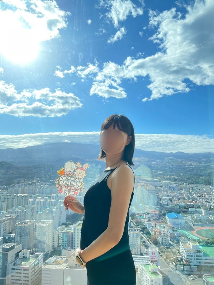  6박7일 제주도 태교여행(임신 16주차, 그랜드하얏트 제주, 고집순두부, 646미터퍼세크, 한담해안산책로, 곽지해수욕장, 마돈가제트)