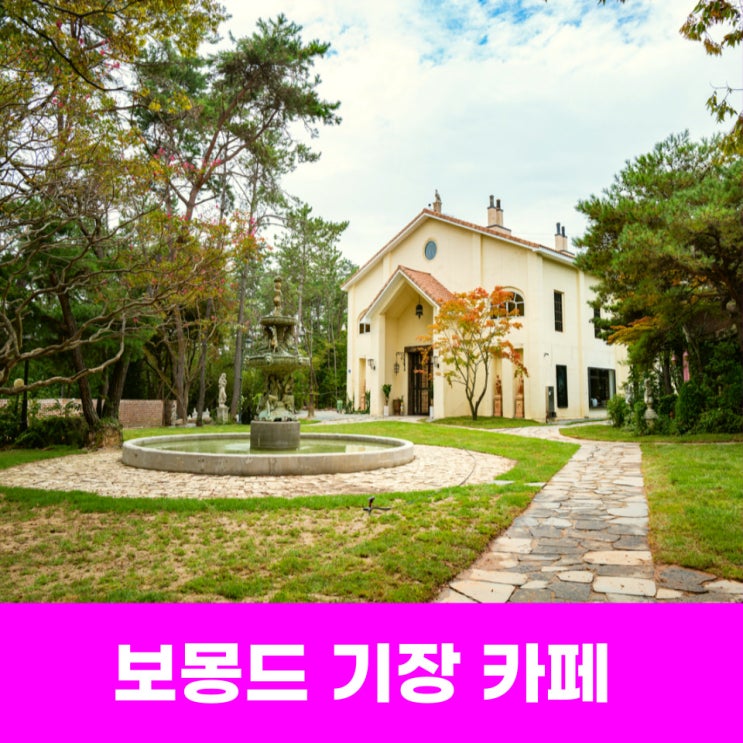 보몽드 숲속 반전이 가득한 유럽 동화 속 기장 카페