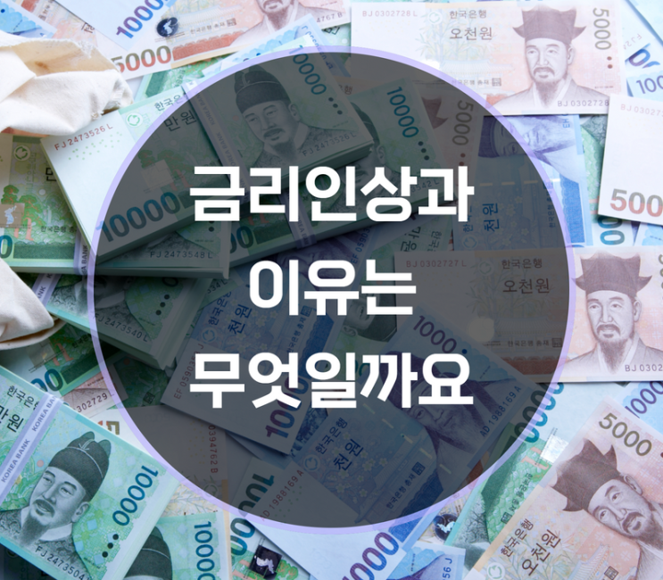  금리인상 이유는?