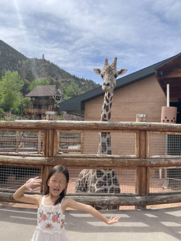 미국 콜로라도 여행 -  Cheyenne Mountain Zoo 샤이엔 마운틴 동물원