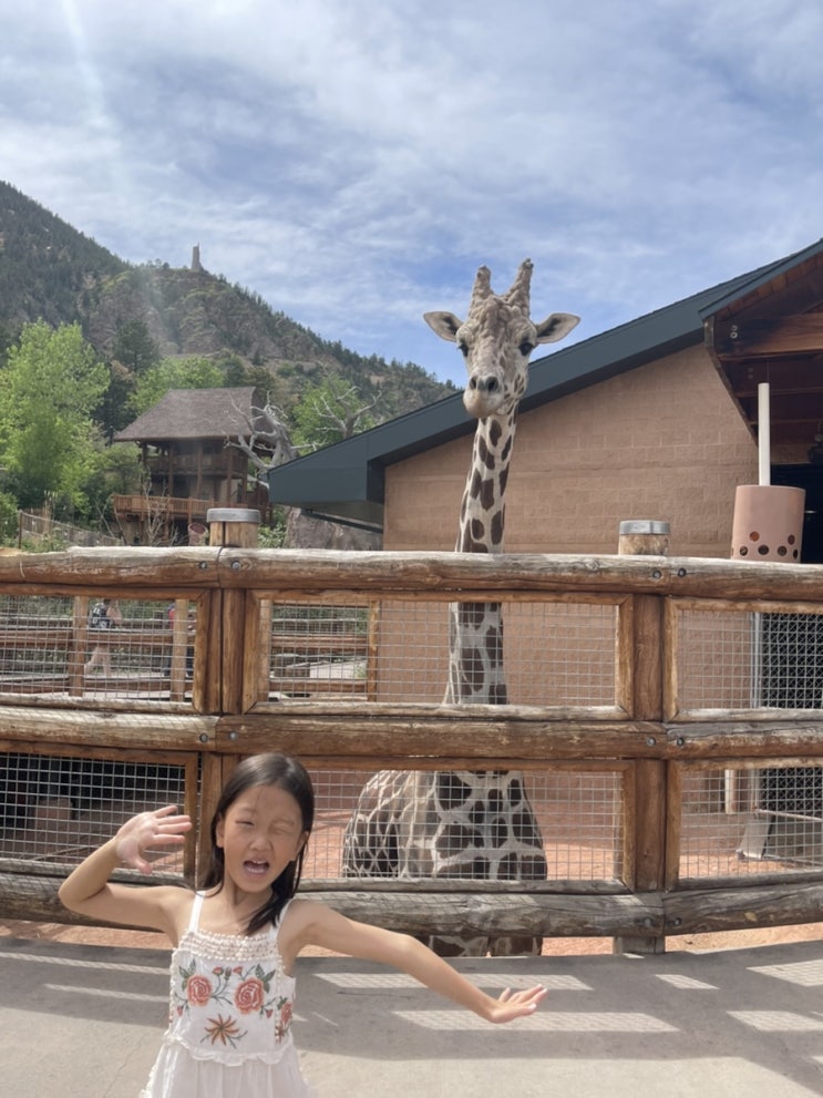  미국 콜로라도 여행 -  Cheyenne Mountain Zoo 샤이엔 마운틴 동물원