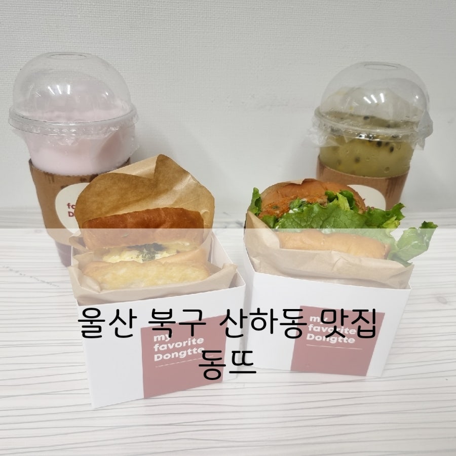 동뜨 사진 1