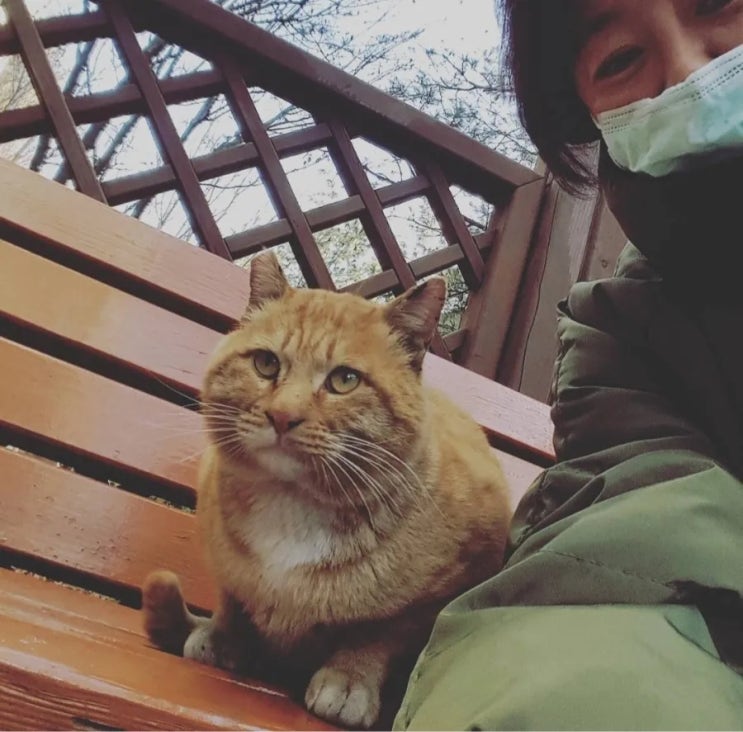  길고양이, 겨울, 생각나는 아이들