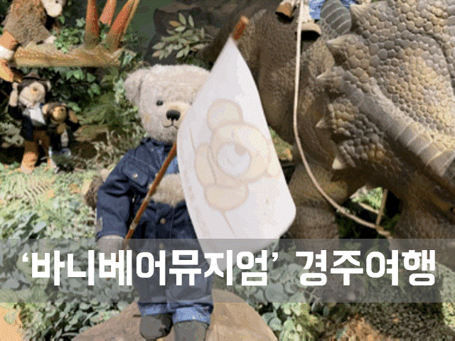  ㅣ경주 가볼만한 곳ㅣ바니베어뮤지엄, 아이와 함께가면 좋은 곳.