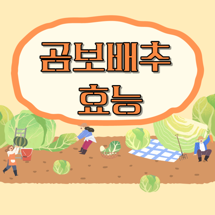 곰보배추 효능 먹는법 만성염증 제거에 탁월한 만병초 배암차즈기 곰보배추 효능 먹는법 만성염증 제거에 탁월한 만병초 배암차즈기