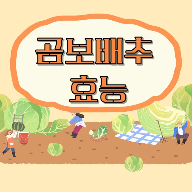 곰보배추 효능 먹는법 만성염증 제거에 탁월한 만병초 배암차즈기